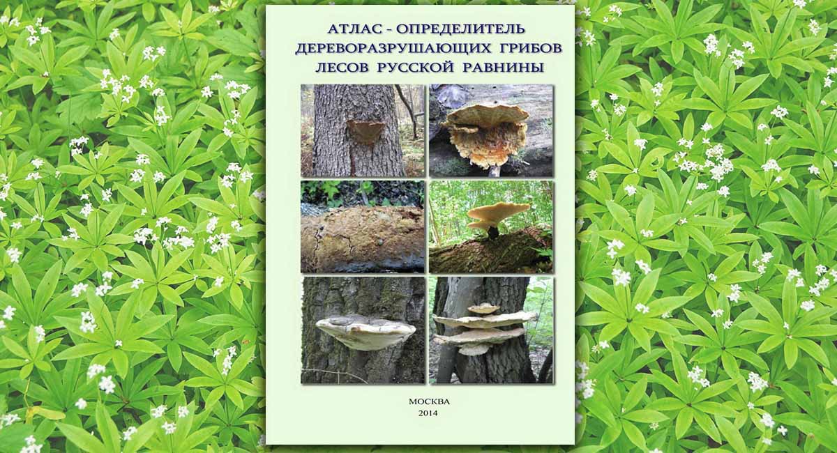 Атлас-определитель дереворазрушающих грибов Русской равнины