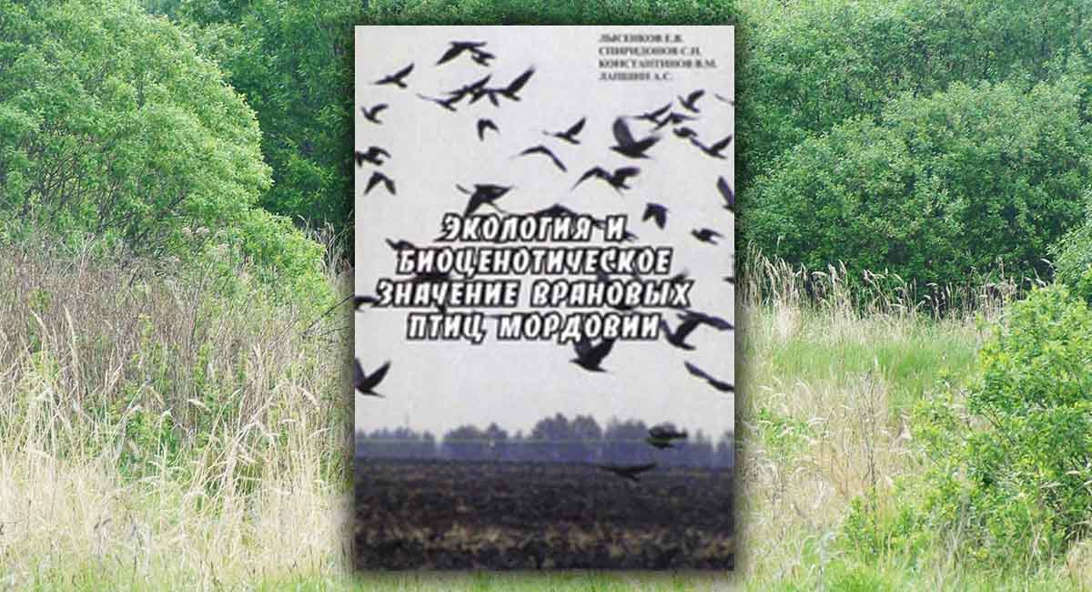 Экология и биоценотическое значение врановых птиц Мордовии.