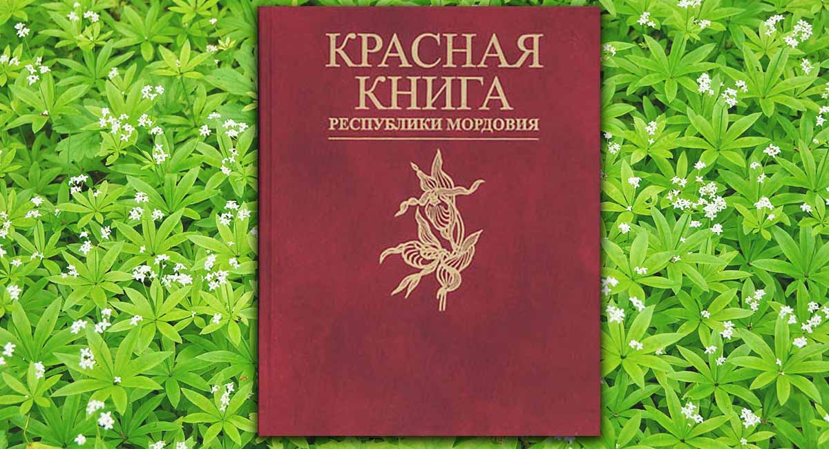Красная книга Республики Мордовия. В 2 т. Т. 1: Редкие виды растений, лишайников и грибов