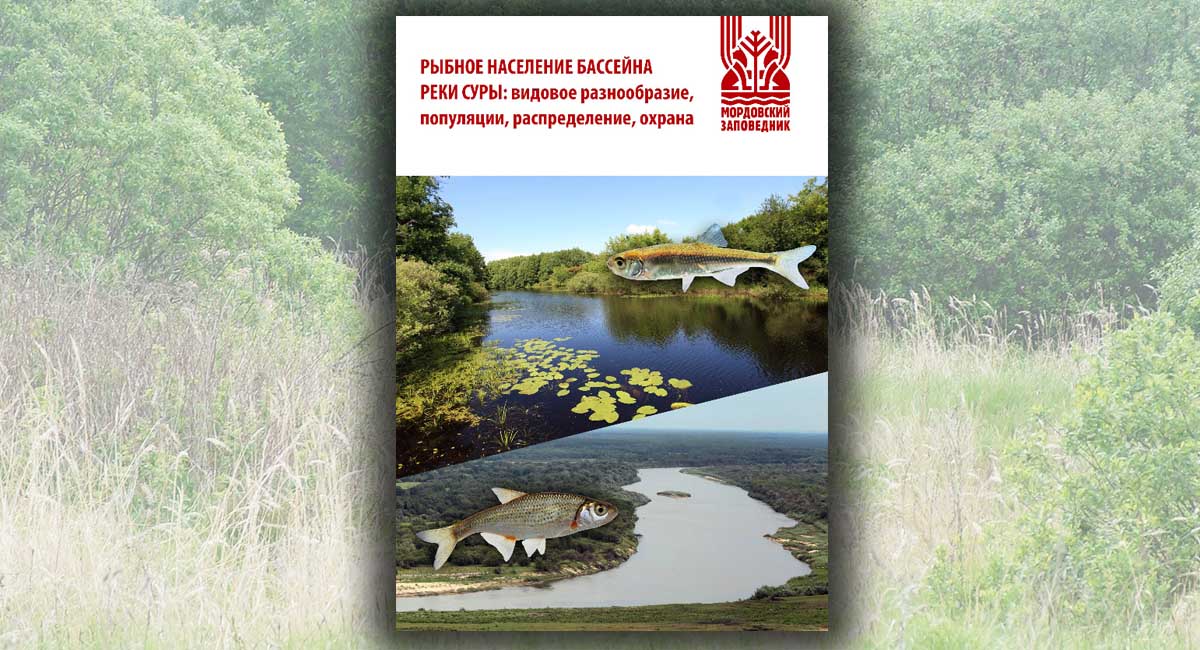Рыбное население бассейна реки Суры: видовое разнообразие, популяции, распределение, охрана