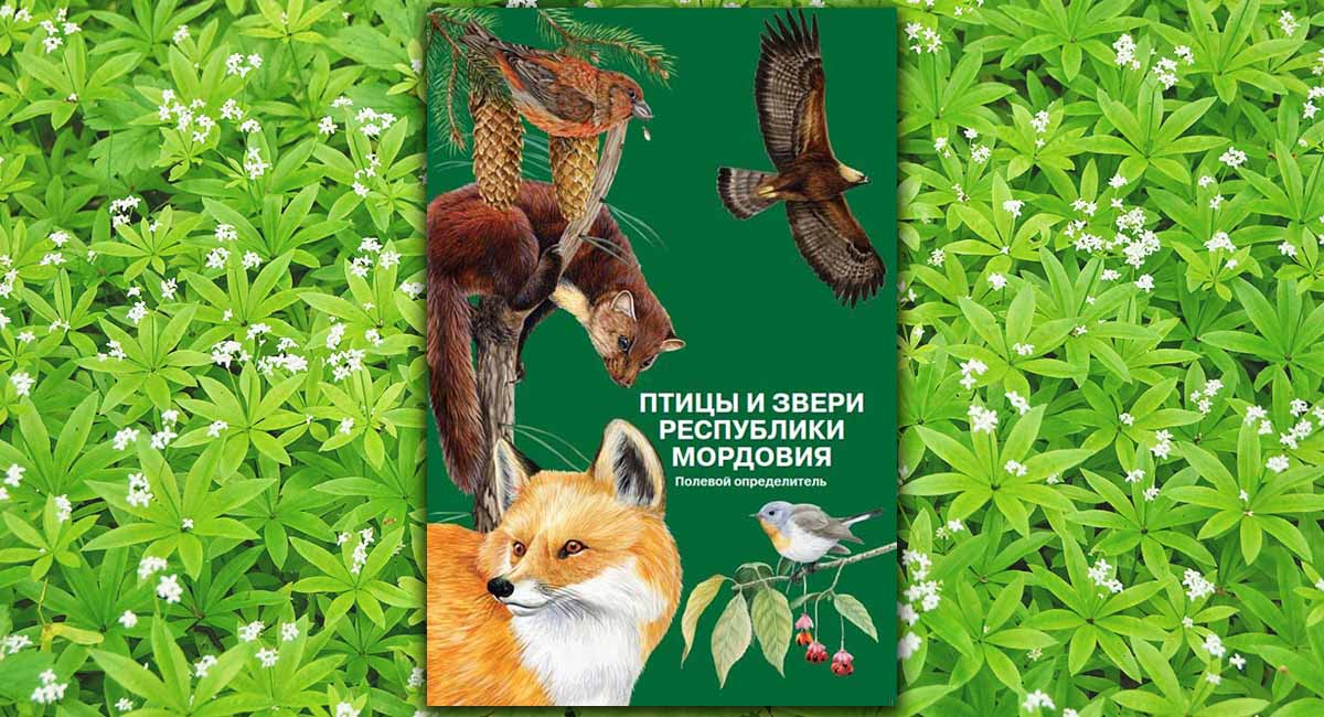 Птицы и звери Республики Мордовия. Полевой определитель