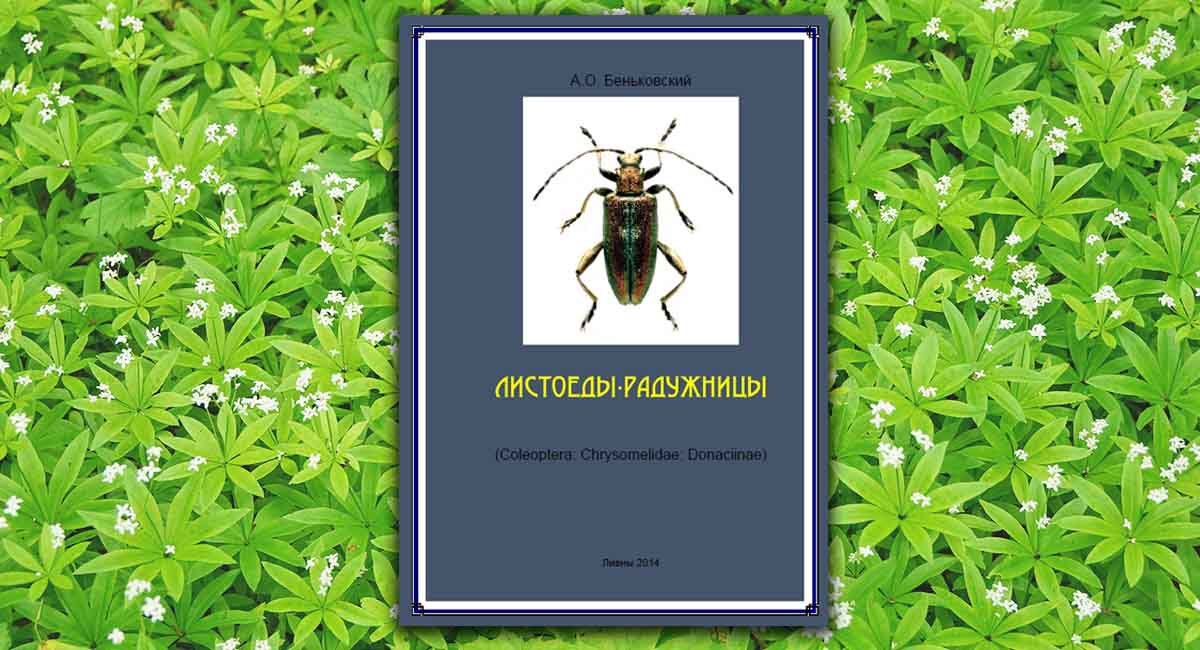 Листоеды-радужницы (Coleoptera: Chrysomelidae: Donaciinae)