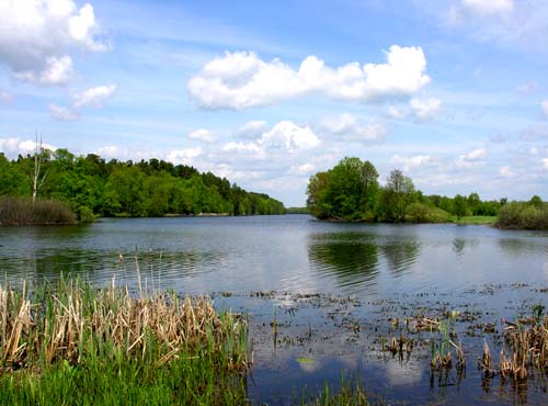 Водный памятник природы регионального значения «Озеро «Инерка»»
