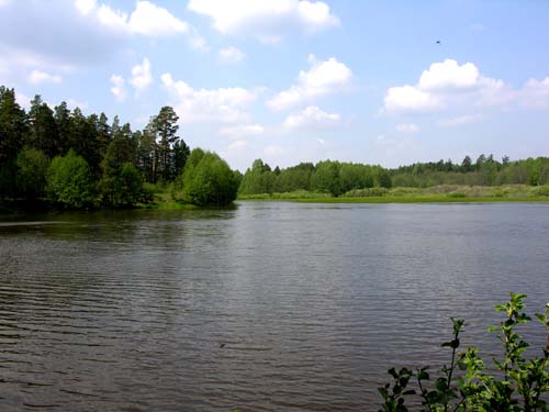 Памятник природы регионального значения  «Урочище – Шмелев пруд»