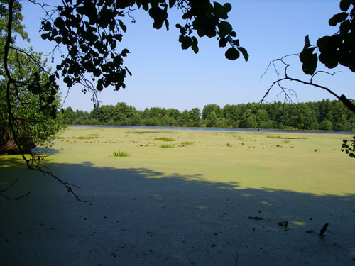 Водный памятник природы регионального значения  «Озеро Инорка»