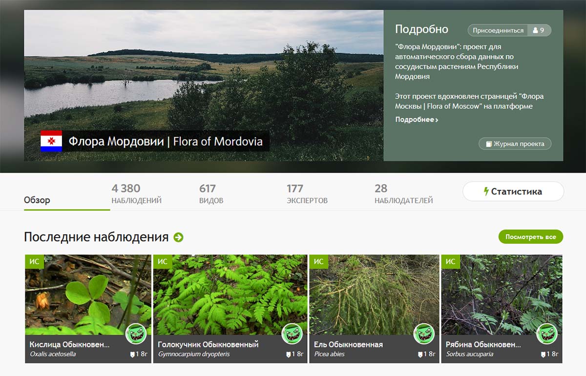Проект на страницах iNaturalist посвященый растениям Мордовии - "Флора Мордовии"