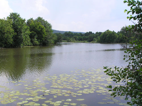 Гидрологический памятник природы регионального значения «Озеро Плетень пильге» 