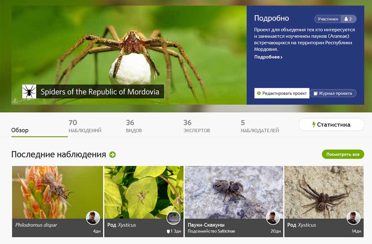 Проект на страницах iNaturalist посвященый паукам Мордовии - "Spiders of the Republic of Mordovia"