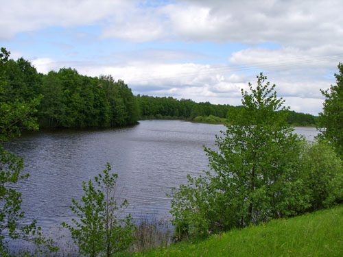 Гидрологический памятник природы регионального значения  «Озеро Шелубей»