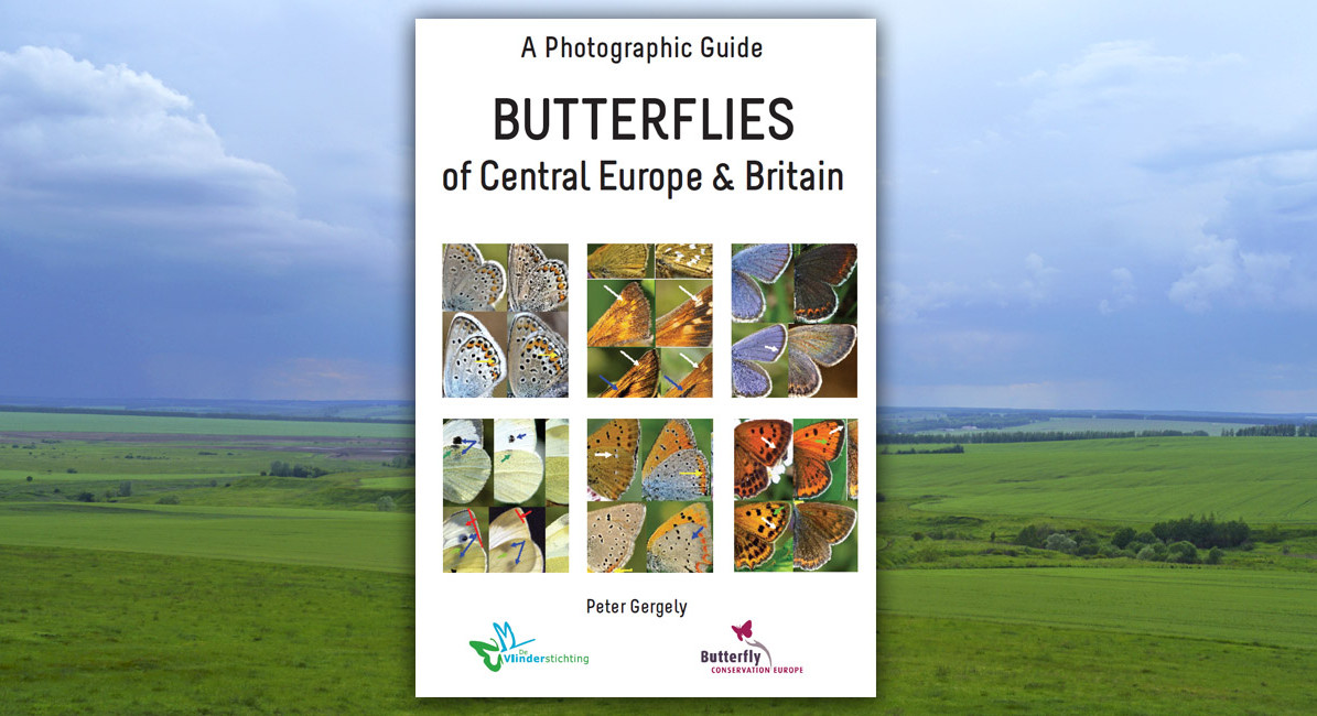 Photographic Guide Butterflies of Central Europe and Brittain