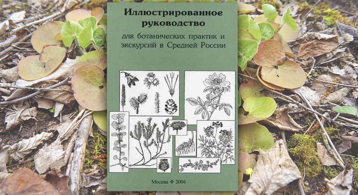 Иллюстрированное руководство для ботанических практик и экскурсий в Средней России 