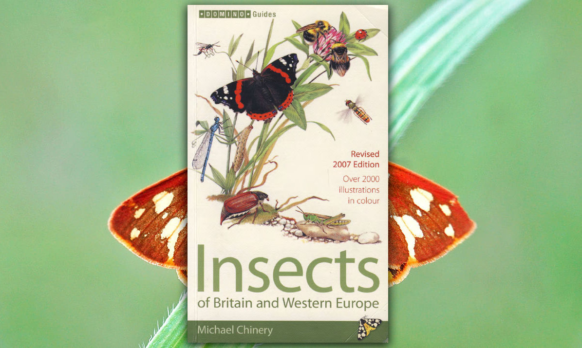  Insects of Britain and Western Europe