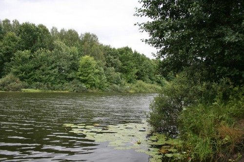 Водный памятник природы регионального значения озеро «Чурилка»