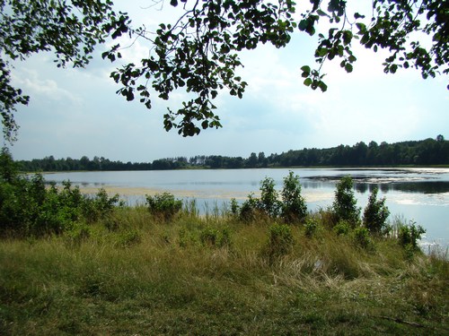 Гидрологический памятник природы регионального значения  «Озеро Имерка» 