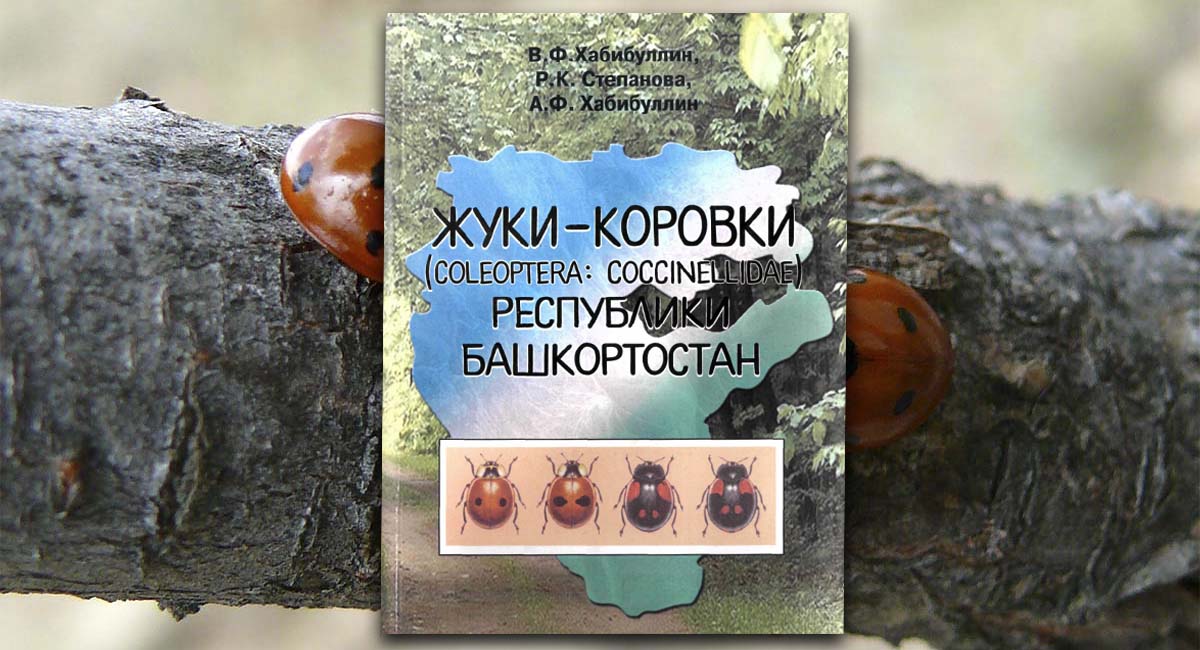 Жуки-коровки (Coccinellidae) Республики Башкортостан