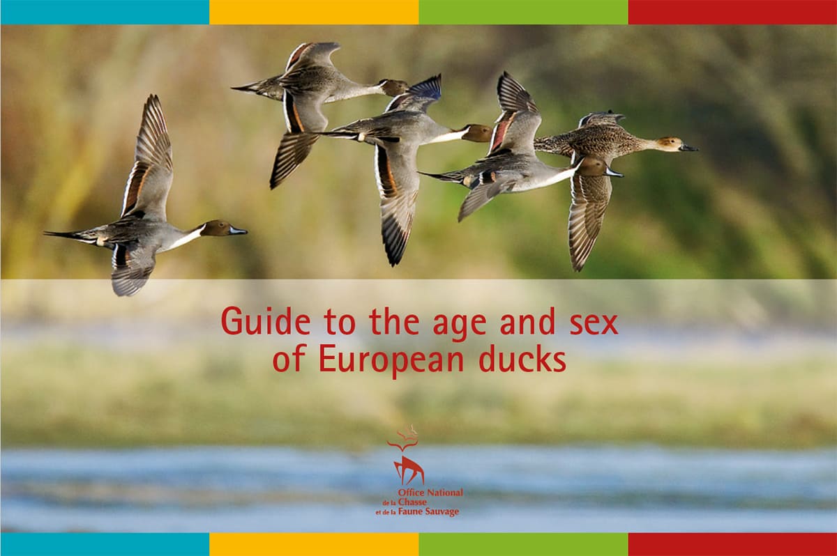 Guide to the age and sex of European ducks