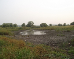 Летом 2010 г. многие озера практически пересохли
