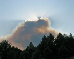 Дым от пожара в Барахмановском лесничестве НП Смольный