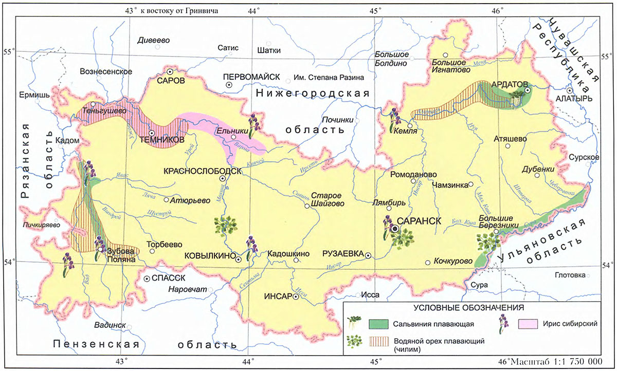 Границы Республики Мордовия на карте. Физическая карта Мордовии.