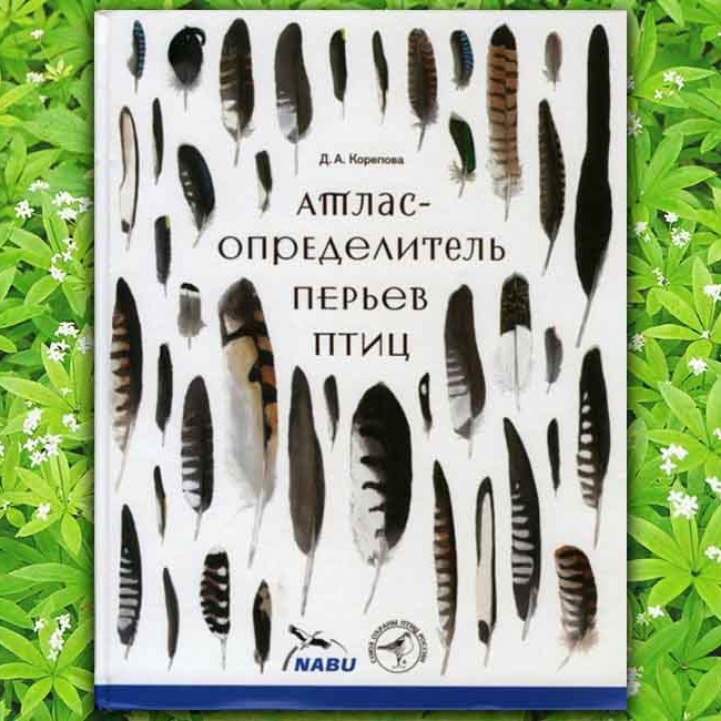 Определитель по фото