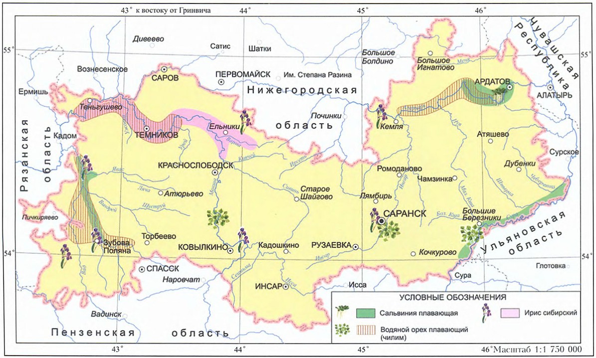Карта осадков кочкурово